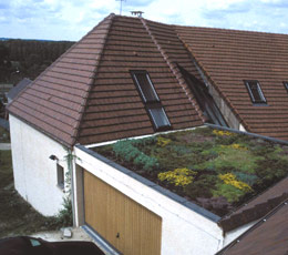 connaitre - toiture - terrasse non accessible